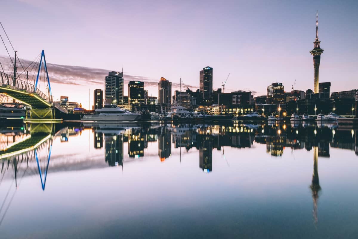 New Zealand Skyline